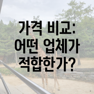 가격 비교: 어떤 업체가 적합한가?