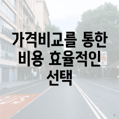 가격비교를 통한 비용 효율적인 선택