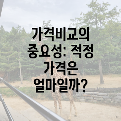 가격비교의 중요성: 적정 가격은 얼마일까?