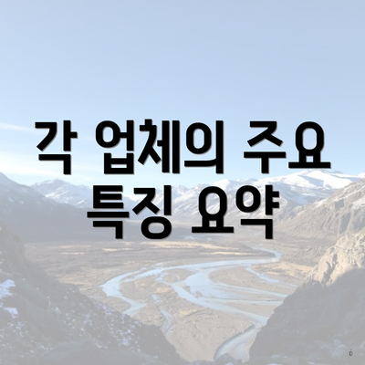 각 업체의 주요 특징 요약