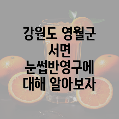 강원도 영월군 서면 눈썹반영구에 대해 알아보자