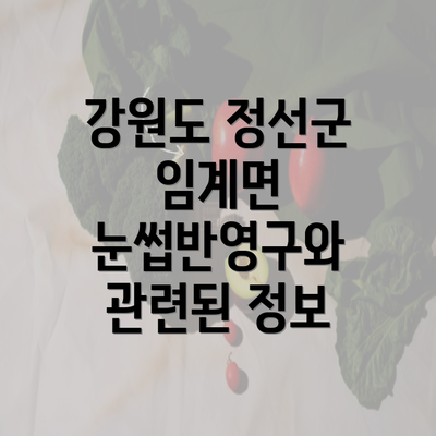 강원도 정선군 임계면 눈썹반영구와 관련된 정보