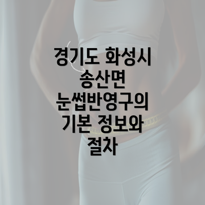 경기도 화성시 송산면 눈썹반영구의 기본 정보와 절차