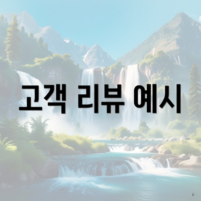 고객 리뷰 예시