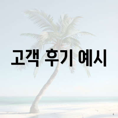 고객 후기 예시