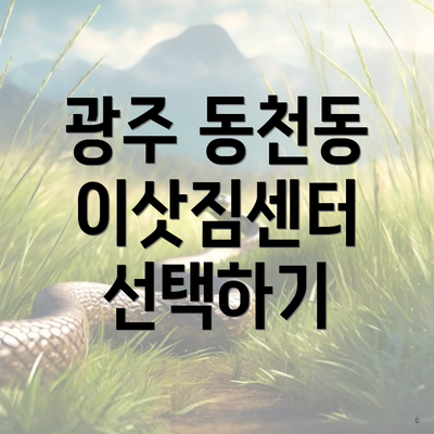 광주 동천동 이삿짐센터 선택하기