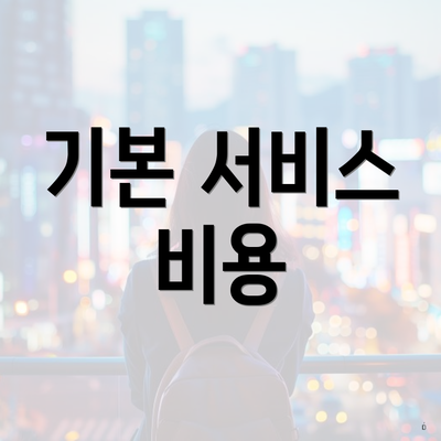 기본 서비스 비용