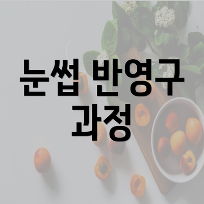 눈썹 반영구 과정