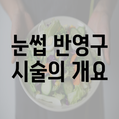 눈썹 반영구 시술의 개요