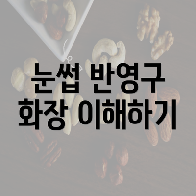 눈썹 반영구 화장 이해하기