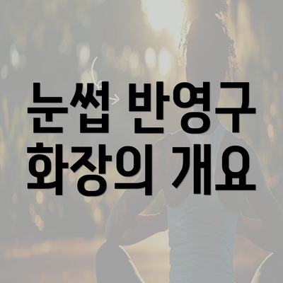 눈썹 반영구 화장의 개요