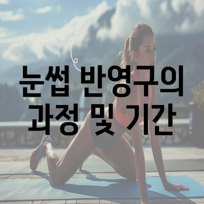 눈썹 반영구의 과정 및 기간