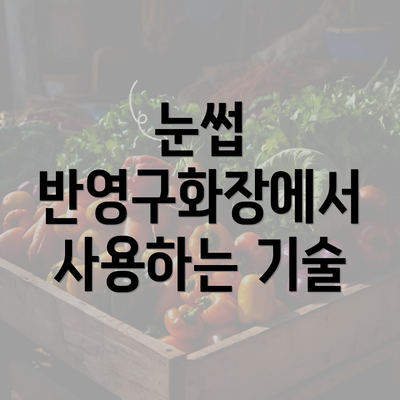 눈썹 반영구화장에서 사용하는 기술