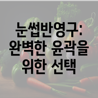 눈썹반영구: 완벽한 윤곽을 위한 선택