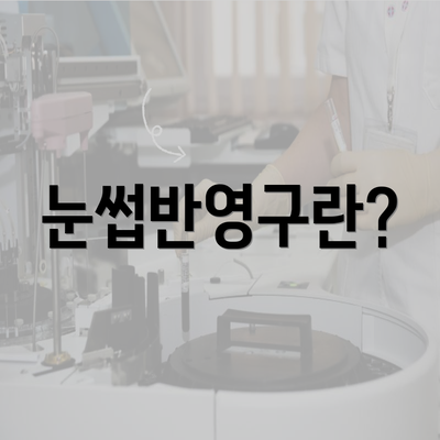 눈썹반영구란?