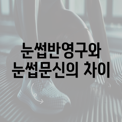 눈썹반영구와 눈썹문신의 차이