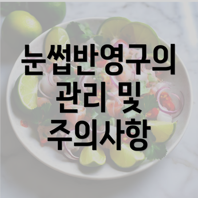 눈썹반영구의 관리 및 주의사항