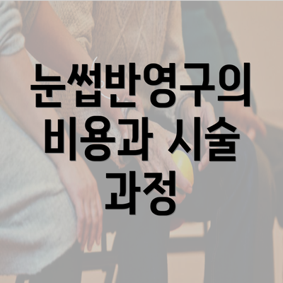 눈썹반영구의 비용과 시술 과정