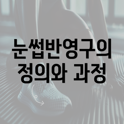 눈썹반영구의 정의와 과정