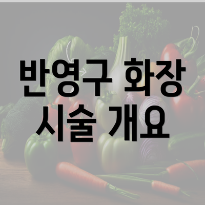 반영구 화장 시술 개요