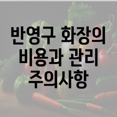 반영구 화장의 비용과 관리 주의사항