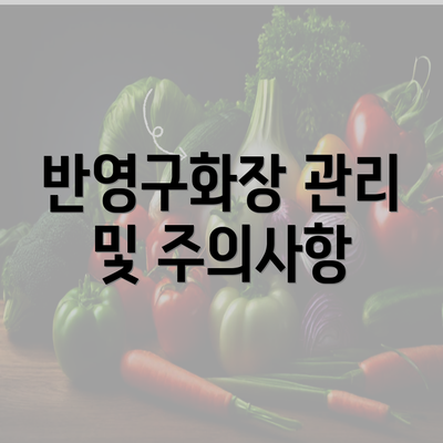 반영구화장 관리 및 주의사항