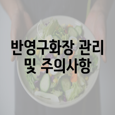 반영구화장 관리 및 주의사항