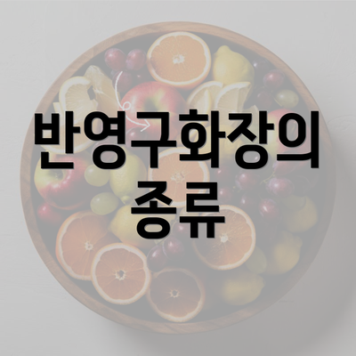 반영구화장의 종류