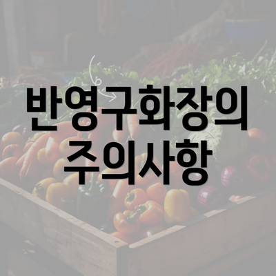 반영구화장의 주의사항