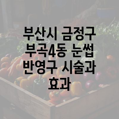 부산시 금정구 부곡4동 눈썹 반영구 시술과 효과