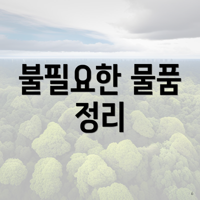 불필요한 물품 정리