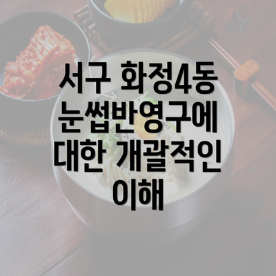 서구 화정4동 눈썹반영구에 대한 개괄적인 이해