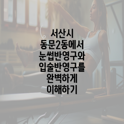 서산시 동문2동에서 눈썹반영구와 입술반영구를 완벽하게 이해하기