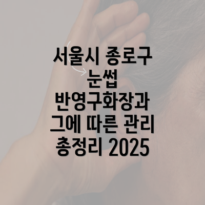 서울시 종로구 눈썹 반영구화장과 그에 따른 관리 총정리 2025