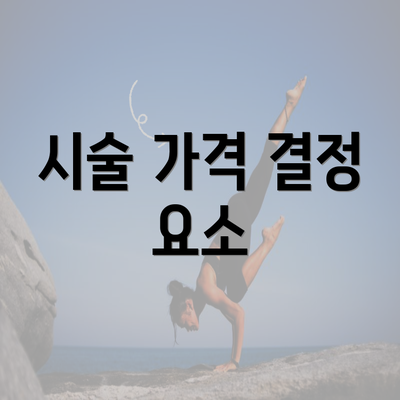 시술 가격 결정 요소