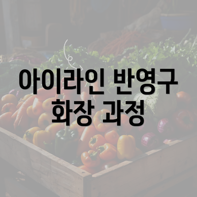 아이라인 반영구 화장 과정