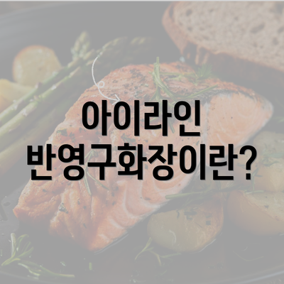 아이라인 반영구화장이란?