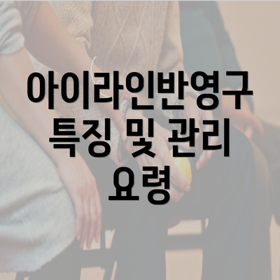 아이라인반영구 특징 및 관리 요령