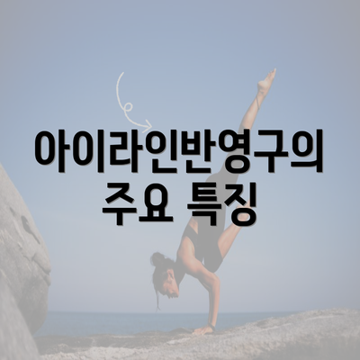 아이라인반영구의 주요 특징