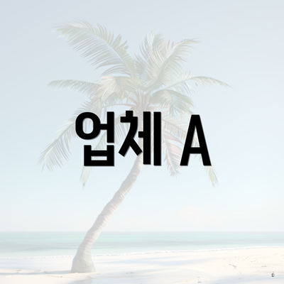 업체 A