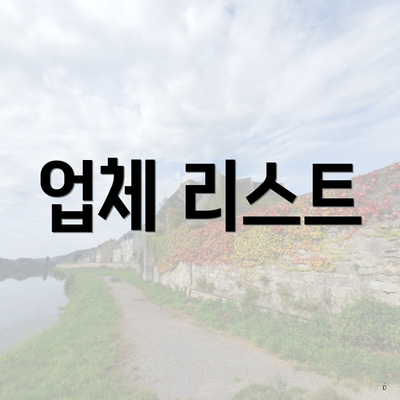 업체 리스트