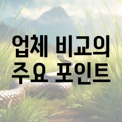 업체 비교의 주요 포인트