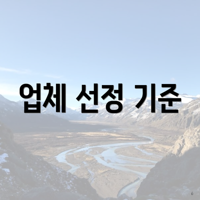 업체 선정 기준