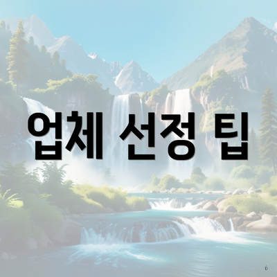 업체 선정 팁