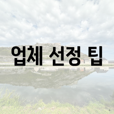 업체 선정 팁