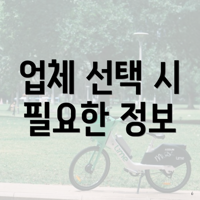 업체 선택 시 필요한 정보