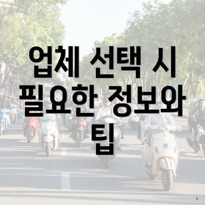 업체 선택 시 필요한 정보와 팁