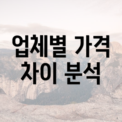 업체별 가격 차이 분석