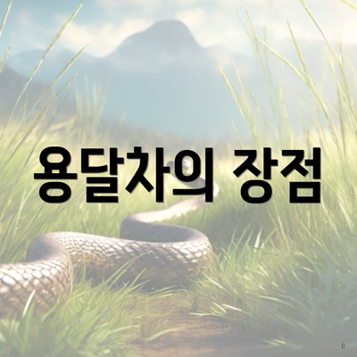 용달차의 장점