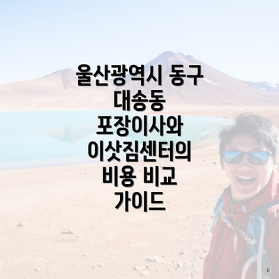 울산광역시 동구 대송동 포장이사와 이삿짐센터의 비용 비교 가이드